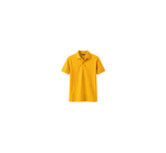 Gold / Yellow